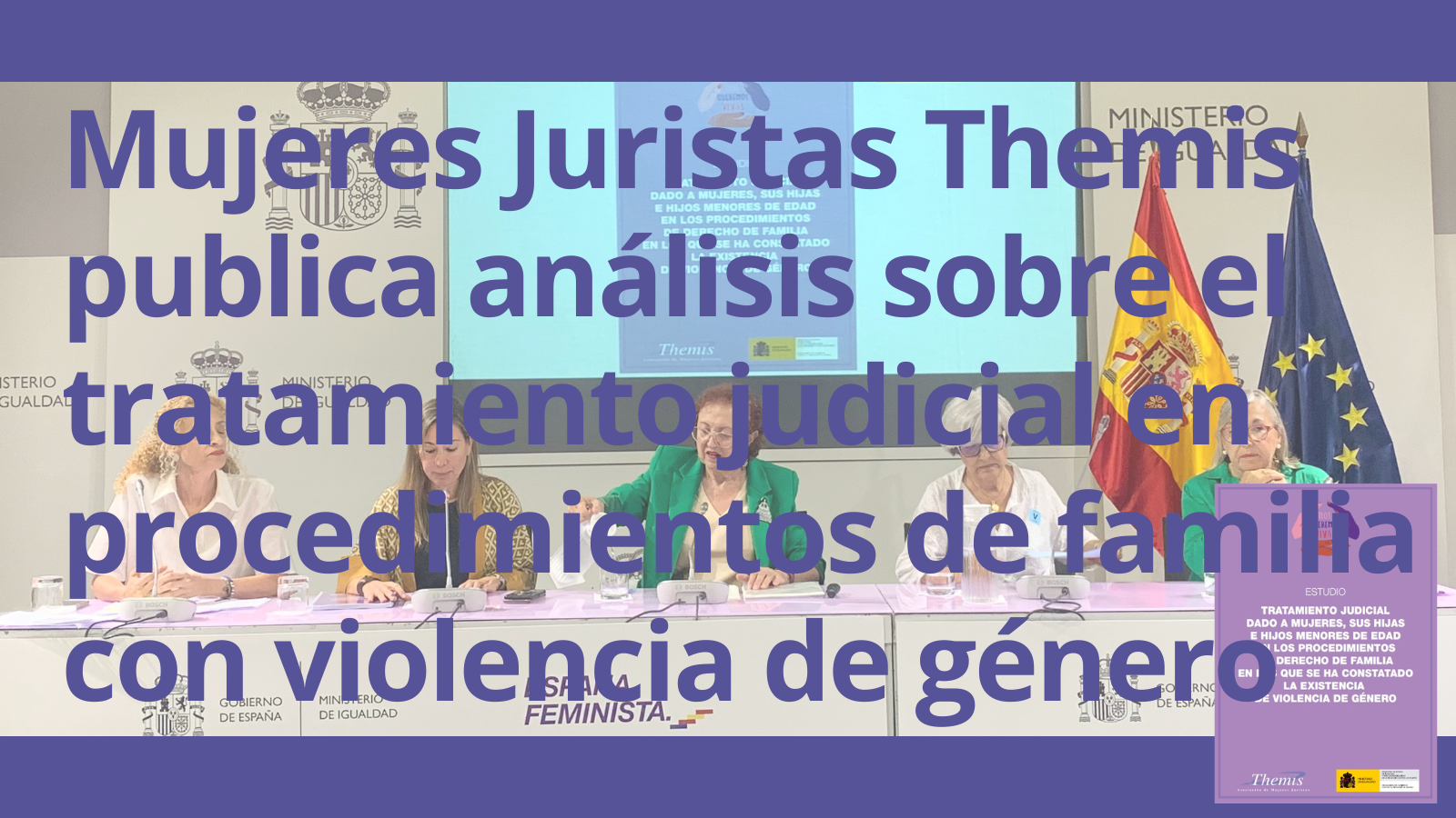 Mujeres Juristas Themis publica análisis sobre el tratamiento judicial en procedimientos de familia con violencia de género
