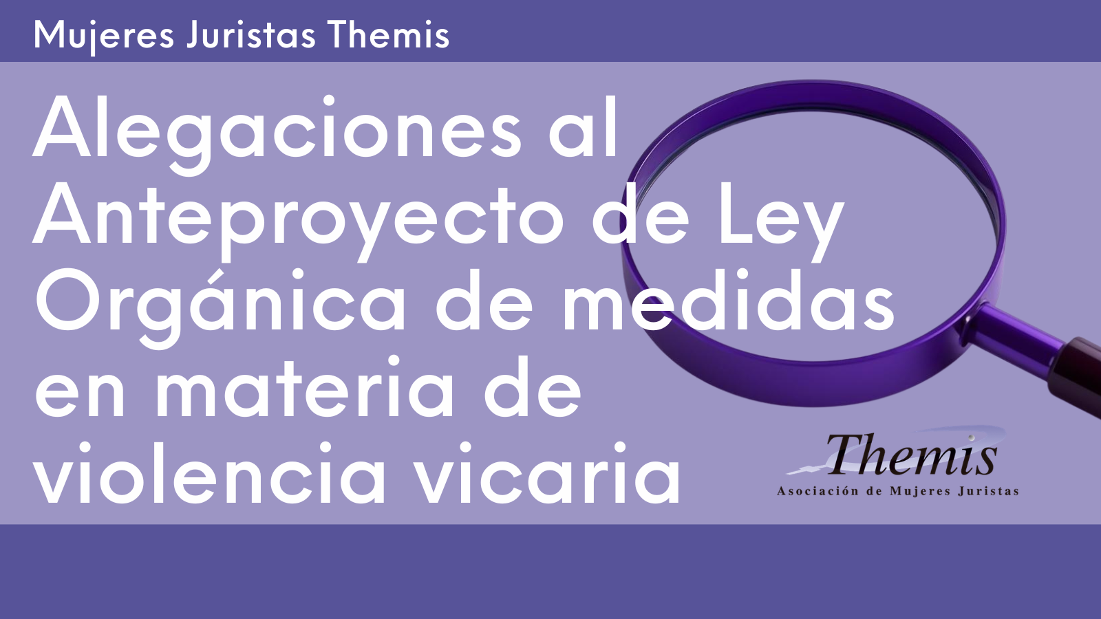 Themis presenta sus alegaciones al Anteproyecto de Ley Orgánica en materia de violencia vicaria
